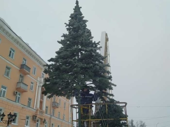 В Иваново установили еще одну новогоднюю елку