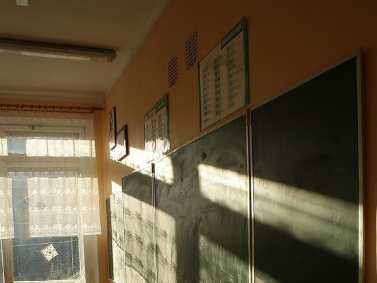 Оренбургских школьников переведут на дистанционное обучение из-за гриппа