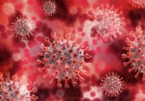Ученые говорят, что они определили «скрытую» версию коронавируса «Омикрон», которую невозможно отличить от других вариантов, используя тесты ПЦР, которые проводят официальные органы здравоохранения, чтобы получить быстрое представление о его распространении по миру