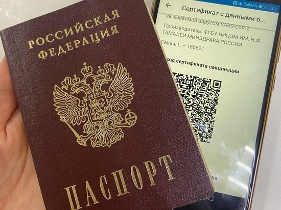 QR-код после ревакцинации: как получить и в какие сроки после прививки можно начать пользоваться