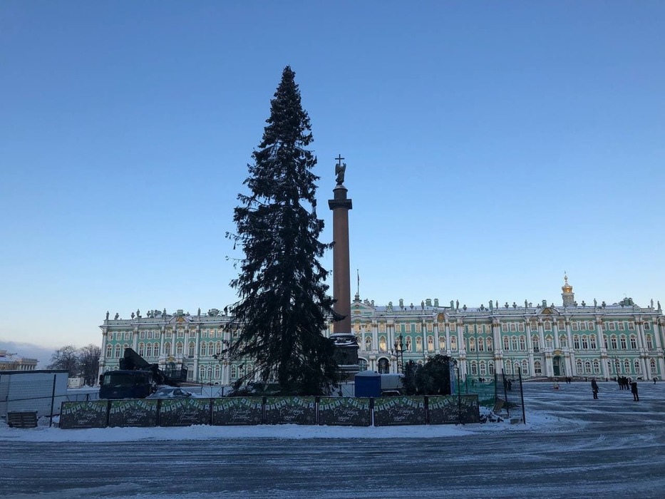 Как выглядит главная новогодняя елка на Дворцовой площади