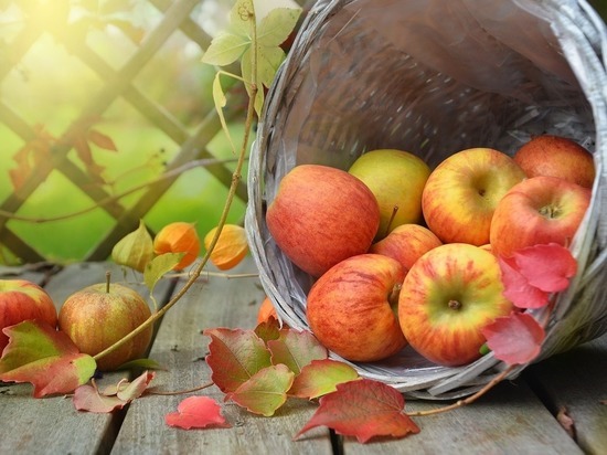Эксперты назвали цвет самых полезных яблок