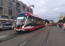 Сотрудники петербургского Комитета по транспорту периодически проверяют соблюдение антиковидных правил пассажирами. Во вторник они заглянули в трамваи, которые следуют по бескондукторному маршруту № 9.