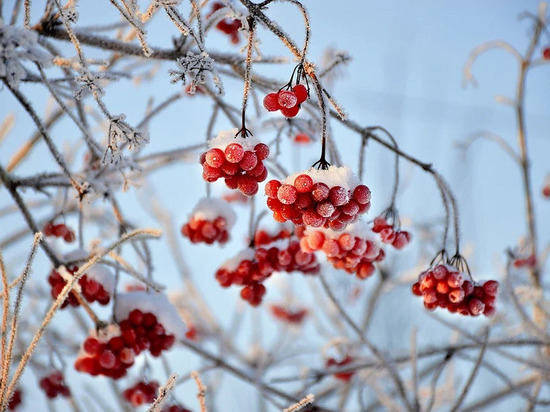 9 декабря в Рязанской области похолодает до -9 градусов