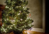С приближением новогодних праздников многие уже начали покупать подарки и, конечно, украшать квартиру и наряжать елку