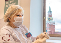 Год назад в Москве началась кампания по масштабной вакцинации против коронавирусной инфекции — первыми возможность сделать прививку получили работники медицинских организаций и те, кто постоянно работает с людьми, ну а потом и все остальные