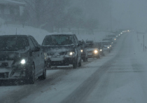 Московское шоссе парализовано пробками из-за снегопада уже более двух суток. В Комитете по благоустройству рассказали, как будут освобождать трассу в Шушарах от заторов, и попросили горожан убрать с обочин грузовой транспорт.