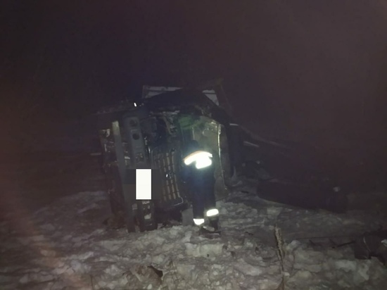 Костромские спасатели не дали замерзнуть незадачливому водителю