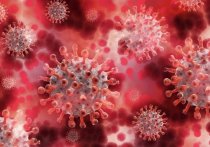 Вирусолог, доктор медицинских наук Анатолий Альтштейн заявил, что уничтожить коронавирус полностью не получится