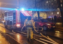 Пожар в Выборгском районе Петербурга унес жизнь одного человека. Спасатели полтора часа тушили огонь в квартире, вспыхнувший утром 29 ноября.