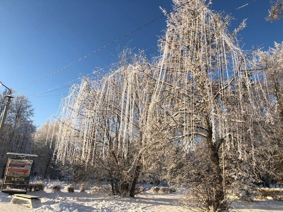 На набережной реки в Великих Луках начали устанавливать украшения