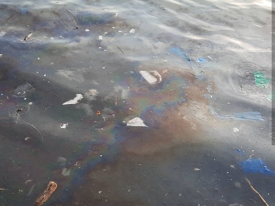 В Геленджике проверяют происхождение нефтяного пятна в море