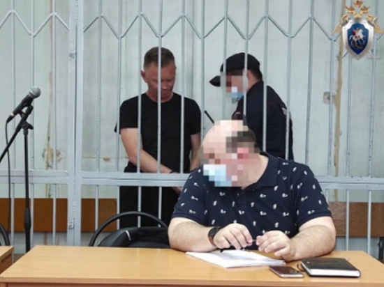 В Нижегородской области мужчина, убивший девочку в р. п. Большое Козино, получил 24 года