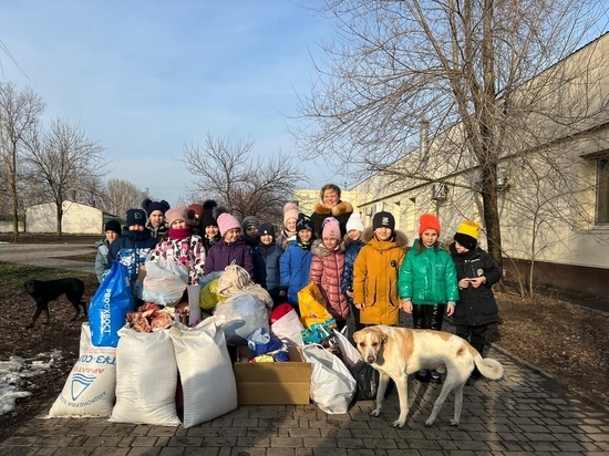 Донецкие первоклассники помогли приюту для собак