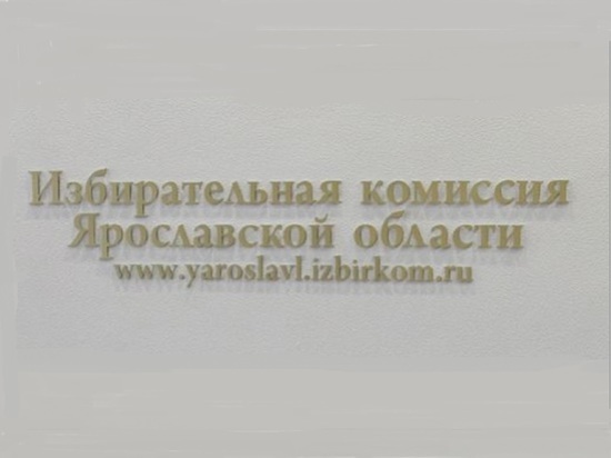Заммэра Ярославля стала руководителем облизбиркома