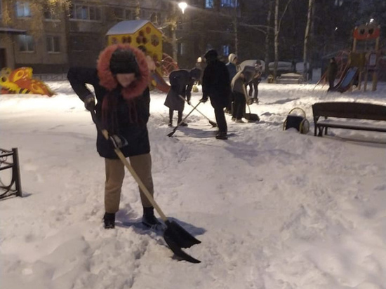 В Петербурге столкнулись с проблемой дворников; снег убирают добровольцы и школьники
