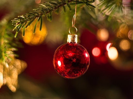 Псковичи смогут купить елку к Новому году в 25 объектах торговли
