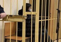 Обвиняемую в двух эпизодах мошенничества Елену Стрельцову отправили под домашний арест, как и супругу владельца «Рив Гоша» Инну Мейер