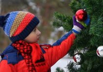 В Донецке некоторые елочные базары, работа которых должна была начаться в середине декабря, уже приступили к торговле самым ходовым новогодним товаром -  новогодними елками