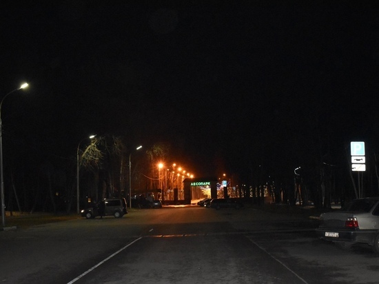 В соцсети запустили опрос об уличном освещении в Рязани