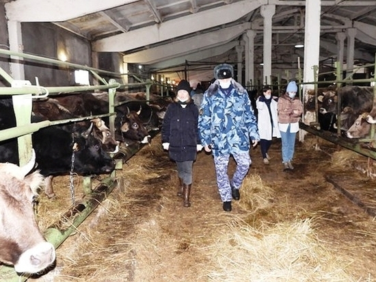 Колонию-поселение посетили смоленские студенты - будущие ветеринары