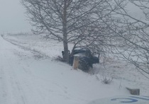 Утром 9 декабря в Джидинском районе Республики Бурятия 26-летний водитель «УАЗа» двигался по автотрассе «Гусиноозерск – Петропавловка – Закаменск»