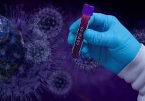 Мир по-прежнему не готов к следующей пандемии после двух лет распространения коронавируса - и большинство стран не готовы даже к небольшим вспышкам болезни, показывают исследования
