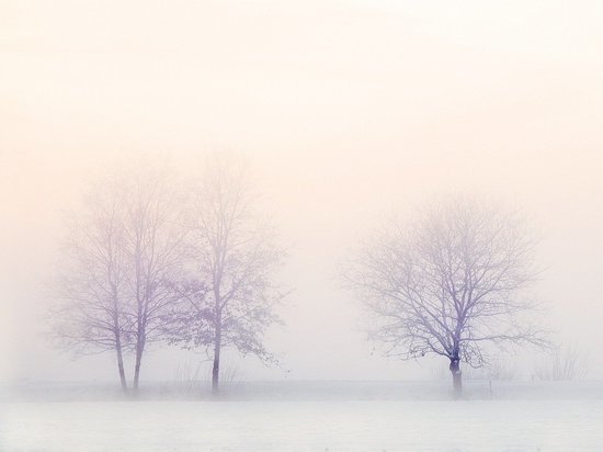 Москвичей предупредили о похолодании до -24 градусов