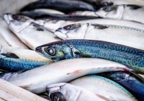 Власти Франции пригрозили запустить юридическую процедуру против Великобритании из-за «рыболовного спора» в случае, если Лондон не изменит свою позицию о пропуске французских рыболовецких судов в свои территориальные воды