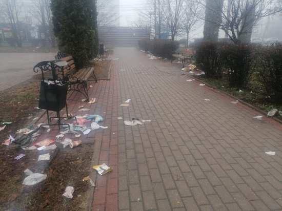 Перестали убирать мусор в центре Курска