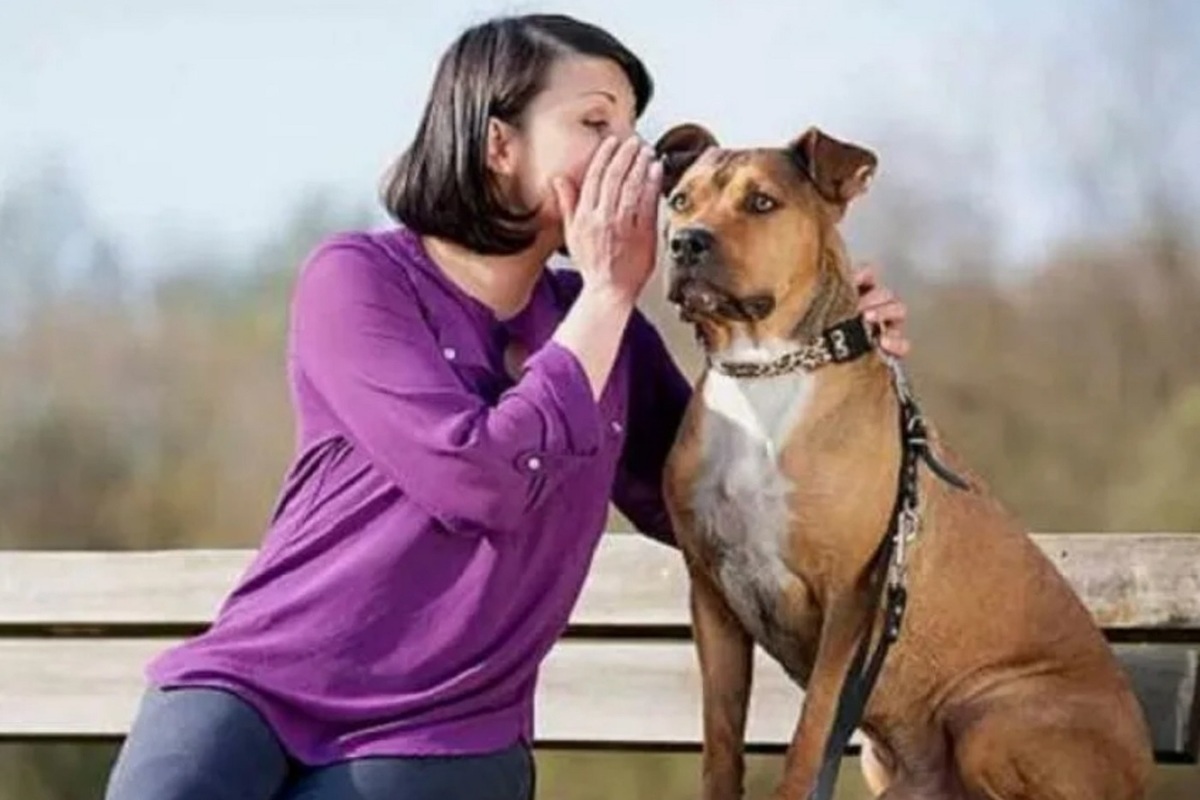 Вниманию костромских собаководов: они действительно нас понимают