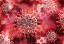За минувшие сутки в Алтайском крае выявили 517 новых случая заболевания коронавирусной инфекцией.