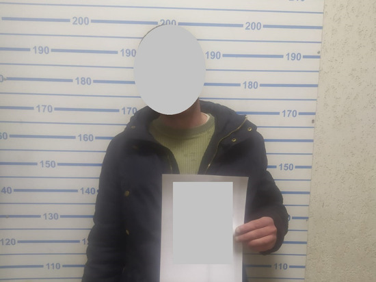 Находящийся в розыске рязанец пойман из-за того, что бросал лёд в окна