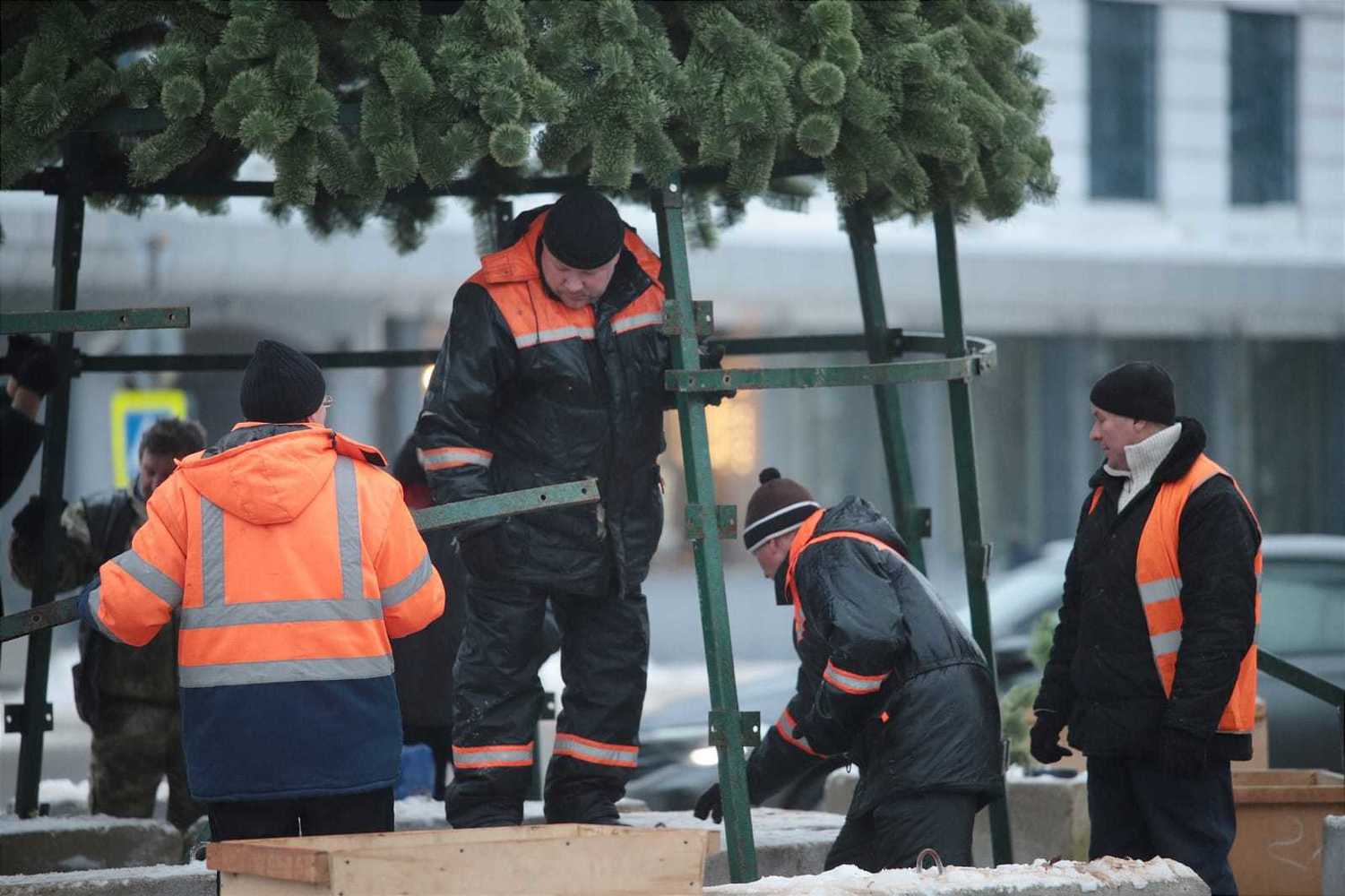 В Пскове начали устанавливать новогоднюю елку