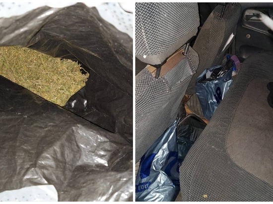 В Томской области полицейские нашли наркотики в селе Цыганово по запаху