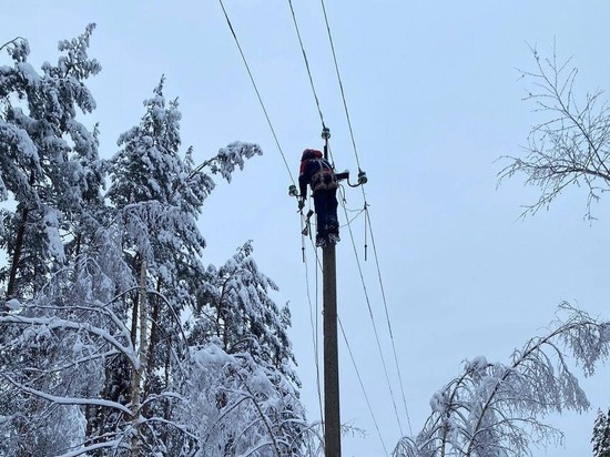 Еще 1,5 тысячи новгородцев остаются без света из-за непогоды