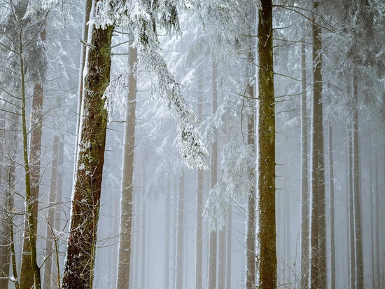 Холод, снег и гололед встретят смолян на улицах 12 декабря