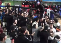 В Москве турнир по смешанным единоборствам (MMA) лиги WEF завершился побоищем с участием примерно полусотни молодых людей, которые прорвались в клетку для поединков. 