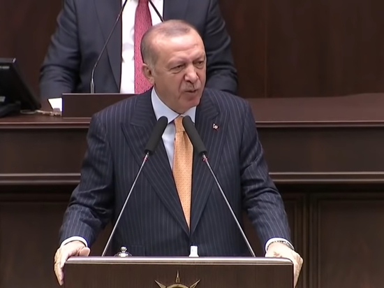 Эрдоган назвал социальные сети «угрозой для демократии»