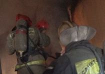 В пожаре в Красносельском районе пострадал мужчина. Его госпитализировали с отравлением угарным газом, сообщили в пресс-службе регионального отделения МЧС по Петербургу.