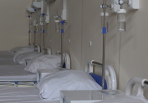 Число госпитализаций с коронавирусом и пневмонией в Петербурге продолжает снижаться. За минувшие сутки в ковидные стационары попали 290 местных жителей.