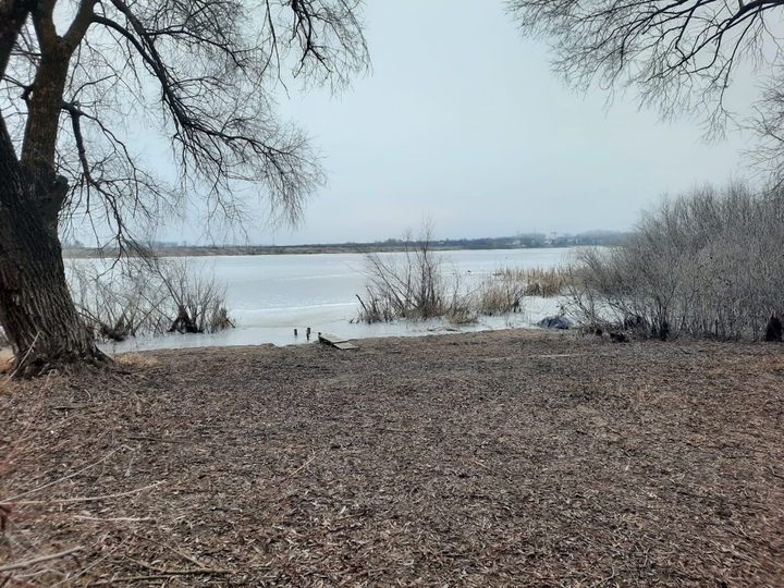 Челнавская водохранилище. Челнавское водохранилище Тамбовская область. Река Челнавка Тамбов. Челнавское водохранилище фото. Челнавское водохранилище Тамбов фото.