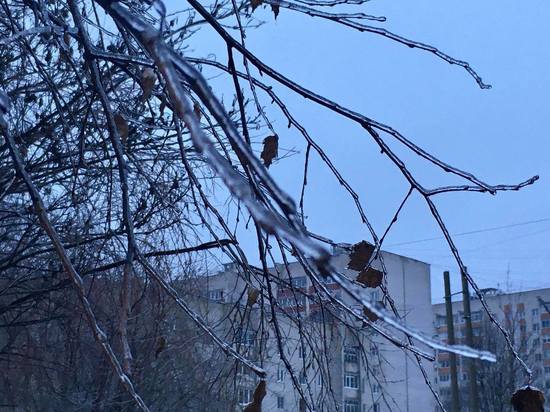 Земля в Смоленске 13 декабря переживает циклы замерзания и оттаивания