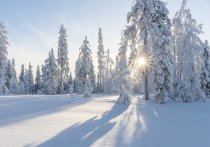 Психолог Дмитрий Синарев призвал следить за своим физическим состоянием и питанием для того, чтобы чувствовать себя комфортно в зимний период времени, сообщает агентство "Прайм"