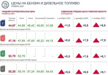В ноябре 2021 года средняя цена за бензин наиболее популярной марки АИ-92 в Томской области составила 44,67 рубля за литр, что на 1% больше, чем в октябре; выросли цены и на другие виды топлива.