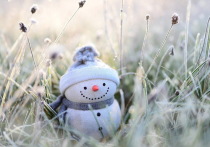 В понедельник, 13 декабря, по Республике Бурятия сохранится морозная погода