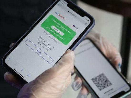QR-коды не введут в транспорте России и Новосибирска