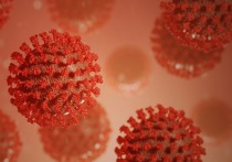 В Забайкальском крае произошло снижение темпа распространения коронавируса на прошедшей неделе