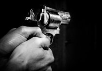 В Курске неизвестный расстрелял пятерых охранников ночного клуба