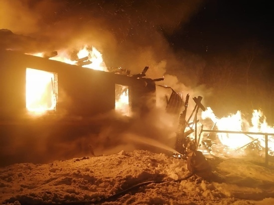 Пожар в Пестове унес жизнь мужчины